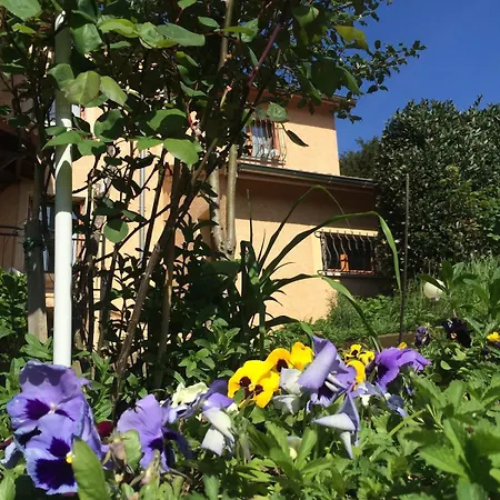 Prive Attenant De La Maison Principale